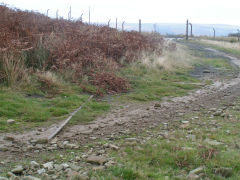 
Graig Wen Colliery, trackbed between levels, October 2009